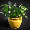 Lush Indoor Plant With Green And Silver Leaves In Yellow Pot