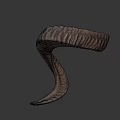 Detailed Ram Horn With Spiral Shape And Natural Texture Close Up