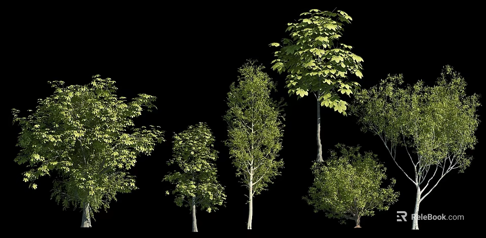 Various Arbor Tree Varieties With Green Foliage And Different Canopy Shapes 3d model