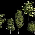 Tree Landscape Trees Tall Trees Tall Trees Landscape Plants Plant Trees Combination Flower Trees 3d model