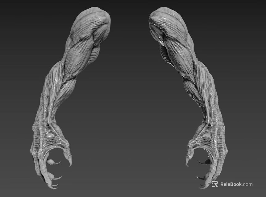 Game Movie Character Muscular Limbs With Sharp Claws And Detailed Texture Design 3d model 