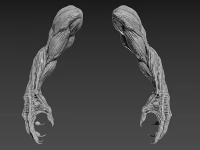 Game Movie Character Muscular Limbs With Sharp Claws And Detailed Texture Design 3d model