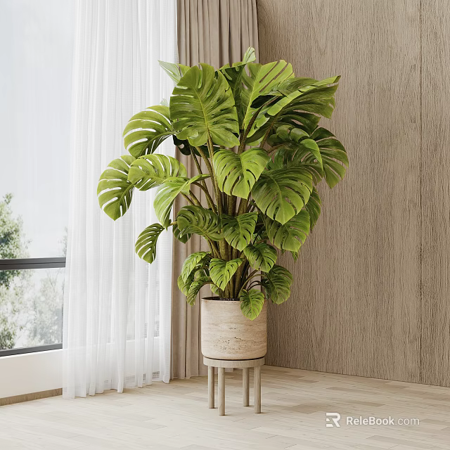 Large Monstera Potted Plant in Light Colored Pot on Small Stool with Window and Wooden Wall 3d model 