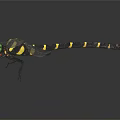 Dragonfly With Green Eyes Black Yellow Striped Body Transparent Wings On Dark Background With Reflection