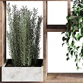 Indoor Vertical Garden Decor With Multi Tiered Wooden Shelves And Green Plants