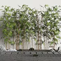 Lush Tall Bamboo Plants Against White Wall With Stone Lantern And Paved Ground