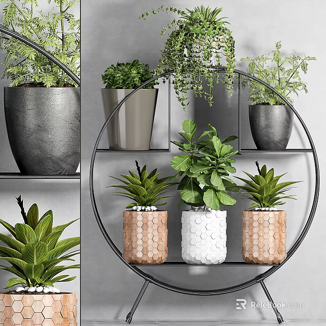 Various Green Potted Plants On Circular Metal Shelf With Gray Wooden And White Pots 3d model 