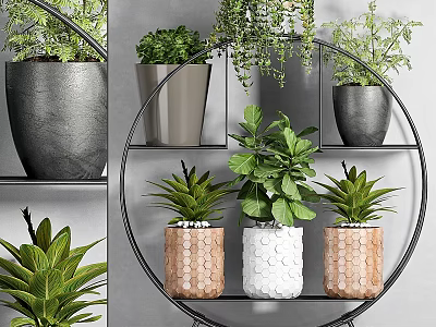 Various Green Potted Plants On Circular Metal Shelf With Gray Wooden And White Pots 3d model