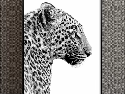 Detailed Black and White Leopard Side Profile Animal Painting for Home Decor 3d model