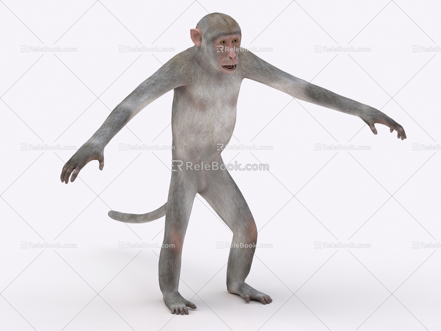 monkey ape animal 3d model