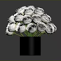 Bouquet of White Roses Arranged in Black Vase Against Gray Background