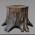 Natural Wooden Tree Stump Stool With Rough Texture And Decorative Base