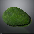 Fresh Ripe Green Avocado with Speckled Surface and Yellow Stem