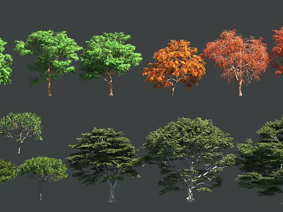 Various Arbor Trees With Green Orange Red Foliage And Diverse Canopy Shapes 3d model