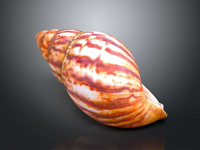 Hand Carved Conch Shell Sculpture with Orange and White Stripes on Black Background 3d model