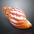 Hand Carved Conch Shell Sculpture with Orange and White Stripes on Black Background