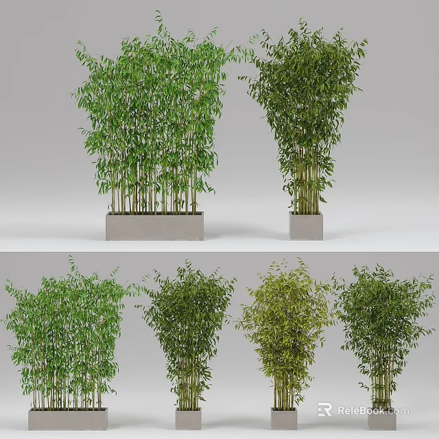 Different Bamboo Potted Plants With Green Foliage In Decorative Containers For Indoor Decor 3d model 