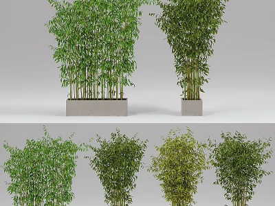 Different Bamboo Potted Plants With Green Foliage In Decorative Containers For Indoor Decor 3d model