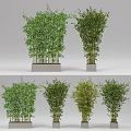 Different Bamboo Potted Plants With Green Foliage In Decorative Containers For Indoor Decor