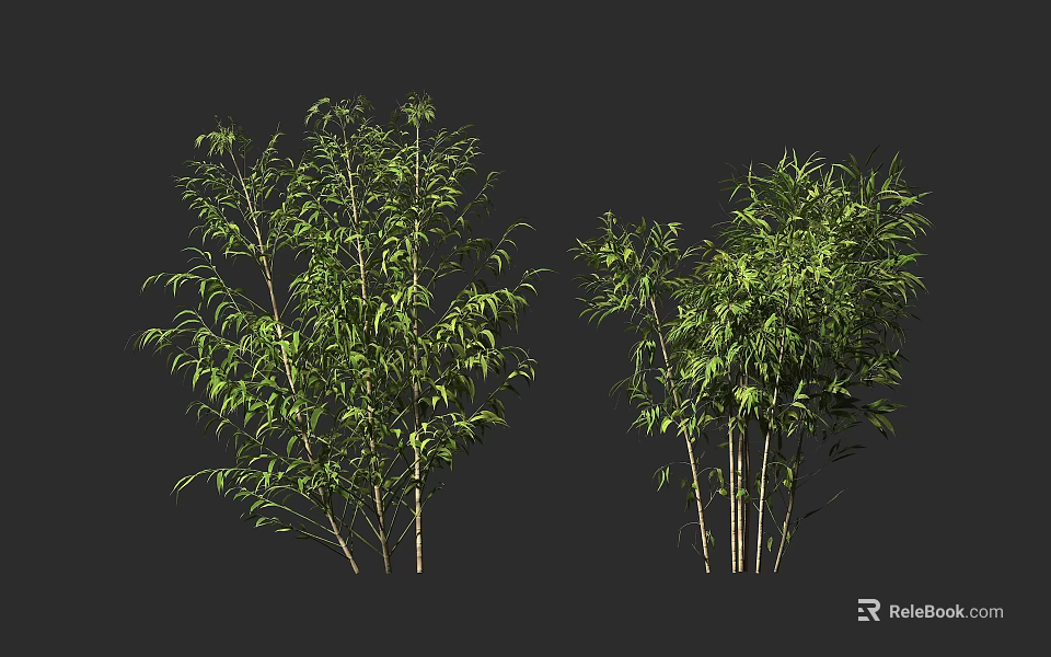 Lush Green Bamboo Plants With Clustered Stems And Vibrant Leaves 3d model 