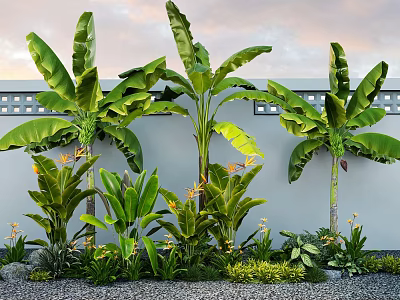 Banana Trees With Large Leaves Gray Wall Lattice Design Small Green Plants Yellow Flowers Pebble Ground 3d model