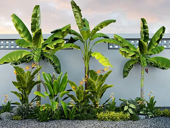 bird of paradise plantain plant combination tropical plants green plants flowers and plants 3d model