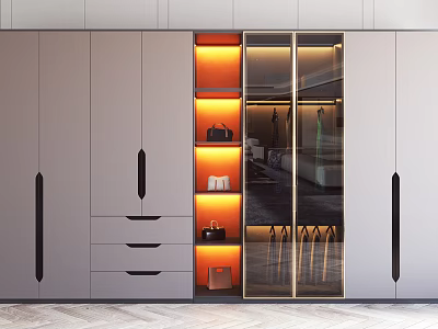 Modern Wardrobe Design With Glass Doors Lighting Drawers And Storage Solutions 3d model
