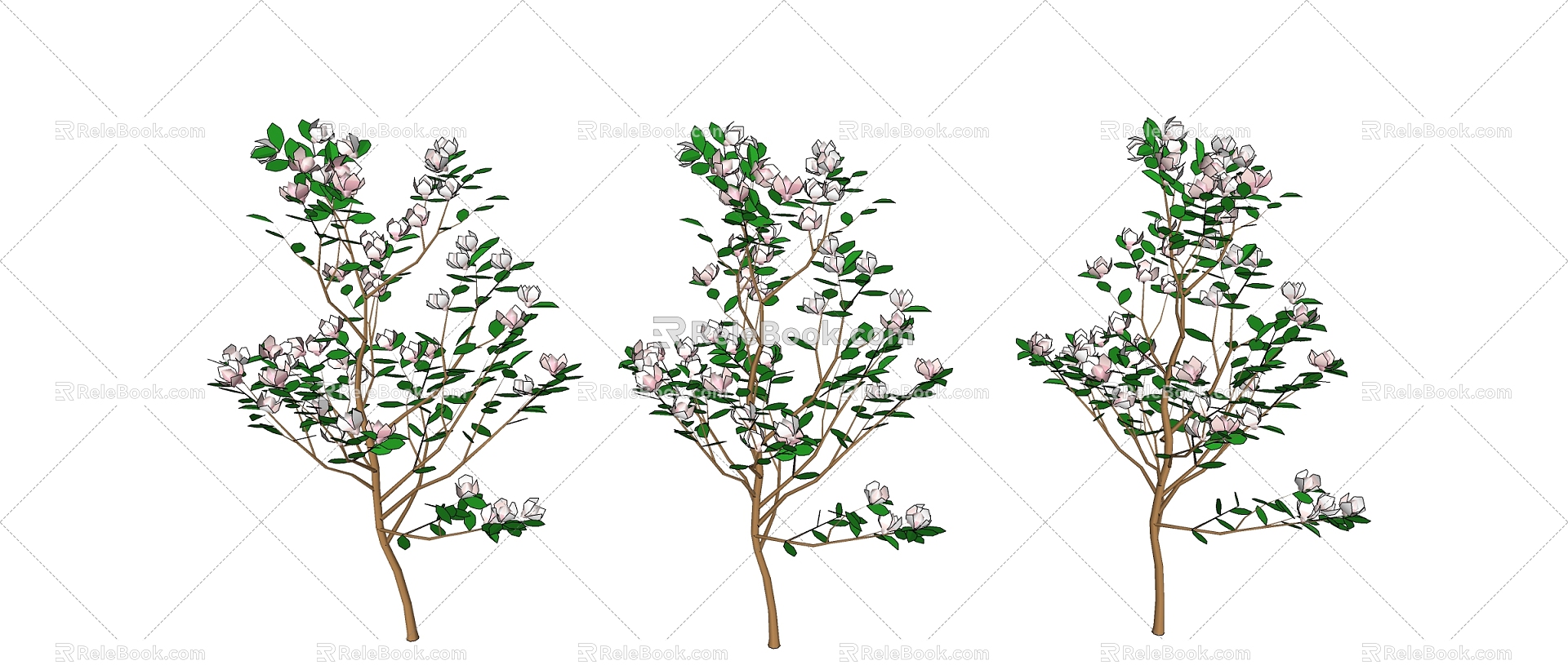 Plant Tree Modern Tree 3d model