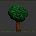 Green Leafy Tree With Brown Trunk And Lush Green Grass With Small Mushrooms