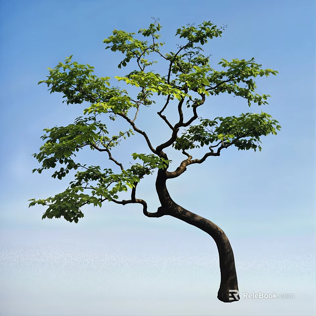 Lush Arbor Featuring Curved Trunk And Green Foliage Against Blue Sky And Distant Water 3d model 