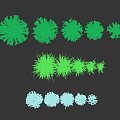 Various Types of Lush Green Grass and Shrub Plants Varieties