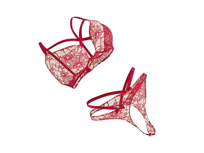 Women's Red Lace Lingerie Set With Strappy Design And Sheer Fabric 3d model