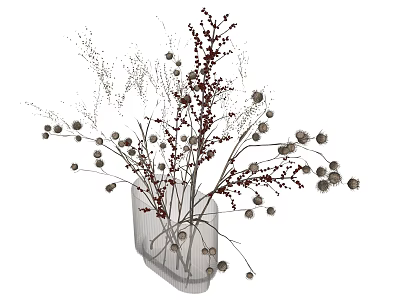 Elegant Vase With Dried Flowers Seed Heads And Berries Decorative Home Arrangement 3d model