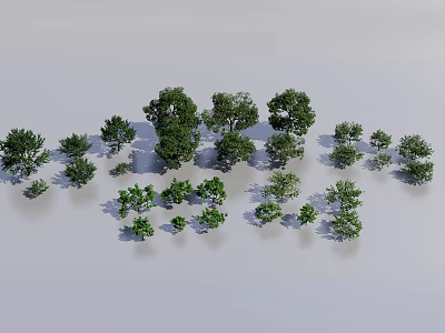 Green Trees Collection With Various Sizes And Different Shapes On Light Colored Background 3d model