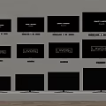 Multiple TVs of Various Sizes Mounted on Wall with LAVOISE and BASS LAUNDRY Screens