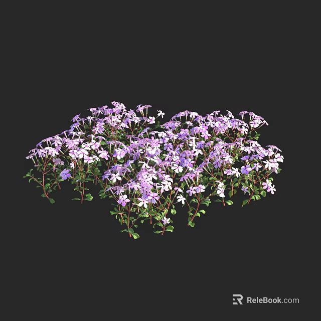 Purple and White Flowers and Plants in Bush with Green Leaves Against Black Background 3d model 