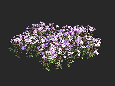 Purple and White Flowers and Plants in Bush with Green Leaves Against Black Background 3d model