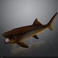 Red and orange shark 3D rendered with open mouth on gray background with reflection 3d model