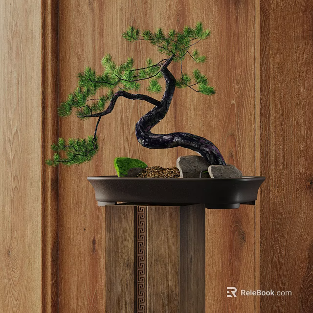 Pine Bonsai Tree with Twisted Trunk in Black Pot on Wooden Stand Against Wooden Wall 3d model 