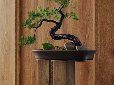 Pine Bonsai Tree with Twisted Trunk in Black Pot on Wooden Stand Against Wooden Wall 3d model
