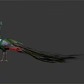 Stunning Peacock Displaying Vibrant Green Blue Feathers With Fanned Tail Eye Spots