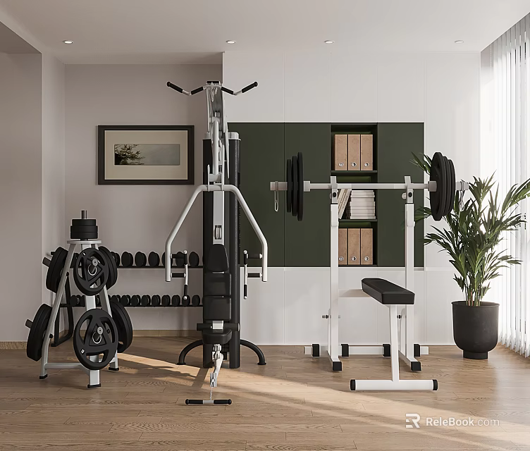 Home Gym Sports Equipment Including Squat Rack Barbell Dumbbell Rack Bench And Potted Plant 3d model 