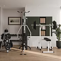 Home Gym Sports Equipment Including Squat Rack Barbell Dumbbell Rack Bench And Potted Plant