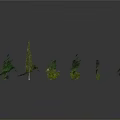 Various Green Plants Collection Including Trees And Shrubs On Grey Background