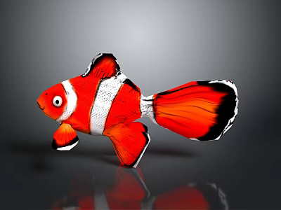 Vibrant Red and White Clownfish with Black Edged Fins on Dark Background Showing Reflection 3d model