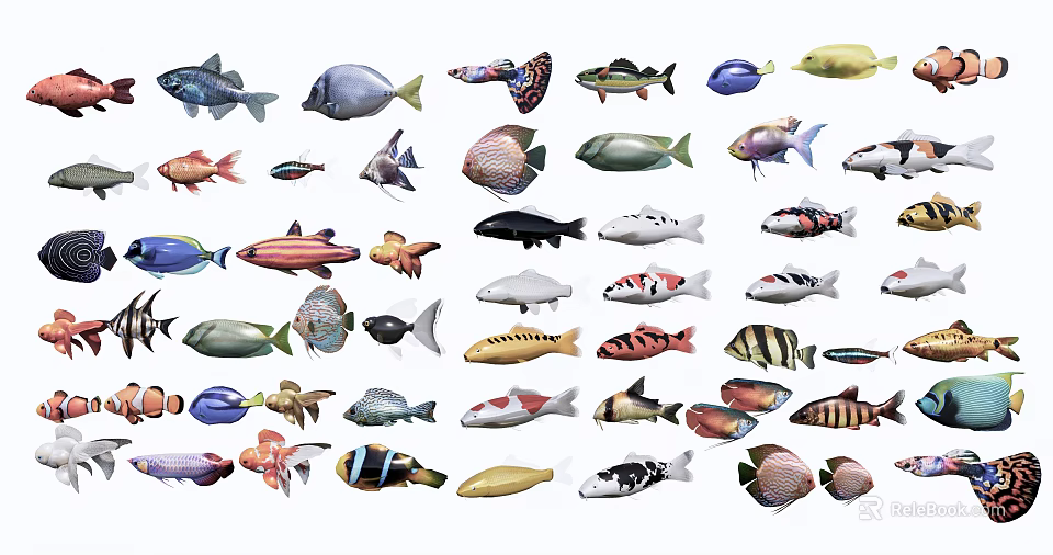 Various Colorful Aquatic Animals Featuring Different Fish Species And Varieties 3d model 