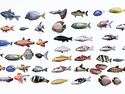 Various Colorful Aquatic Animals Featuring Different Fish Species And Varieties 3d model