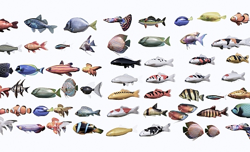 Modern Fish Marine Fish Sightseeing Fish 3d model