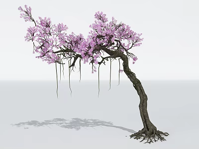 Graceful Tree with Curved Trunk Purple Flowers Hanging Vines and Exposed Roots 3d model