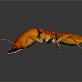 Detailed Red Cockroach With Long Antennae On Dark Reflective Surface 3d model